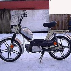 Kreidler Flory