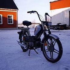 Kreidler Flory