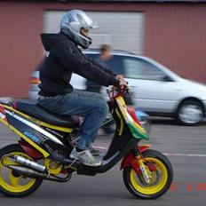 PGO Hot 50/piaggio LC