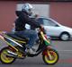 PGO Hot 50/piaggio LC