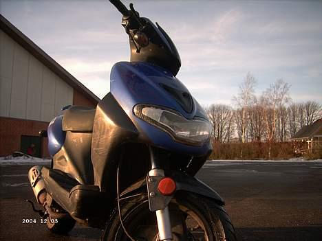 CPI hussar--SOLGT billede 2