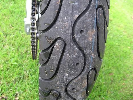 Derbi senda  billede 10