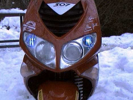 Peugeot 307 SPEEDFIGHT billede 6