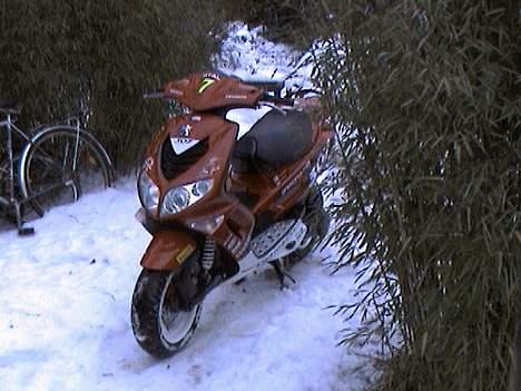 Peugeot 307 SPEEDFIGHT billede 7