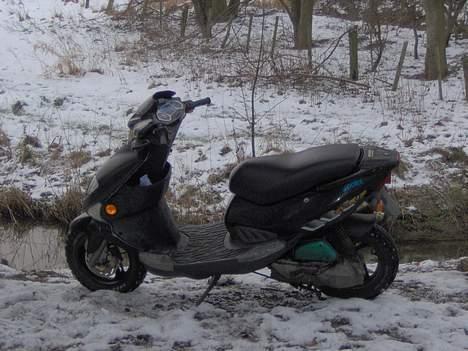 PGO Dr.Big solgt under hotten billede 4