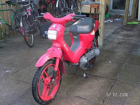 Honda Wallaroo *Solgt* billede 2