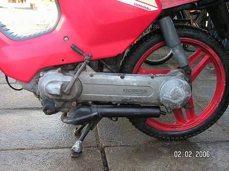 Honda Wallaroo *Solgt* billede 4