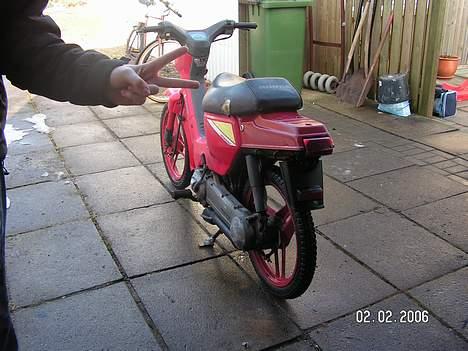 Honda Wallaroo *Solgt* billede 5