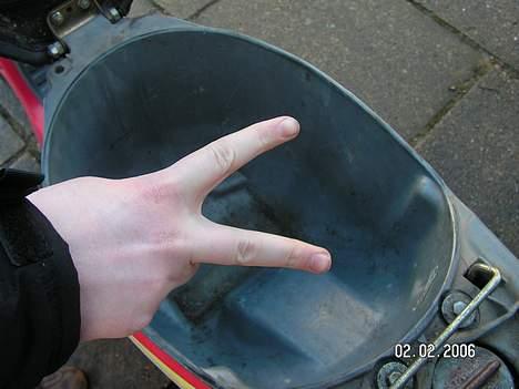 Honda Wallaroo *Solgt* billede 10