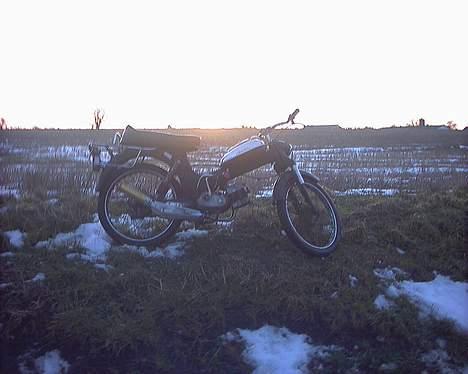 Puch ms 50 SOLGT - Der har ve puch`en i solnedgang billede 7