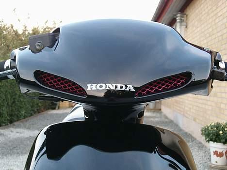 Honda SFX   SOLGT - Det er flot.. :P billede 10