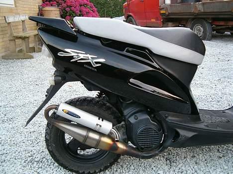 Honda SFX   SOLGT billede 13