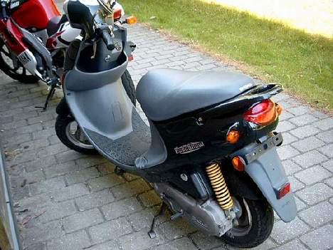 PGO rodoshow *solgt* - sommer billede billede 6