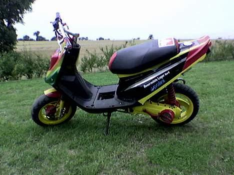 PGO Hot 50/piaggio LC billede 9