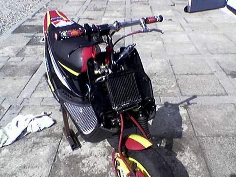 PGO Hot 50/piaggio LC billede 11