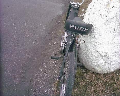 Puch Maxi // - Project - // billede 4