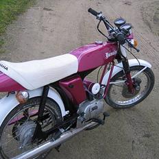 Yamaha fs14g dx Renovering 10%