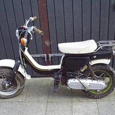 Suzuki fz50 gammel fave.