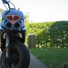 Piaggio Typhoon Nrg - NTT SOLGT