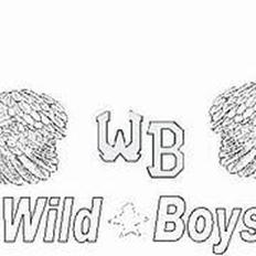 Suzuki street magic solgt