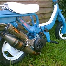 Suzuki Jog Motor/Fz50<Hirtshals>