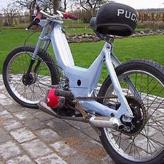 Puch Maxi Perlemor 