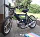 Puch Maxi 74cc DD