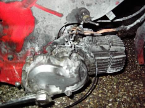 Puch maxi k solgt - efter den brændte billede 11