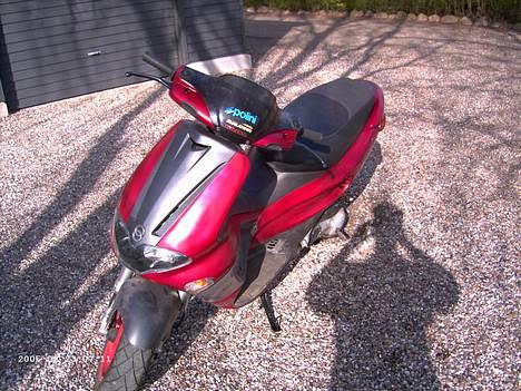 Gilera Runner ( AC)  - TIL SALG  billede 4