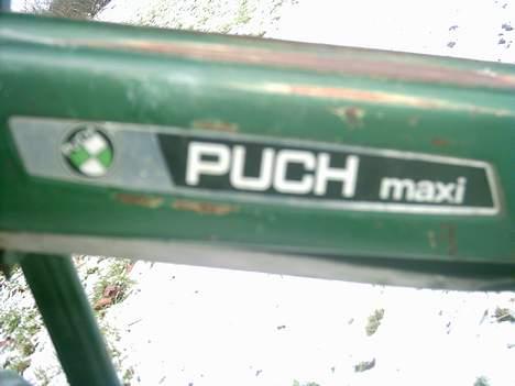 Puch maxi pojeckt =) SOLGT billede 7