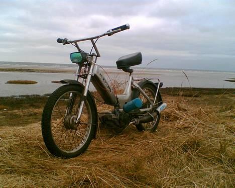 Puch Maxi K ***Solgt*** - Før billede 2