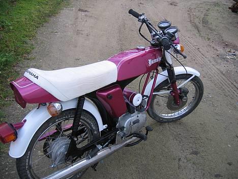 Yamaha fs14g dx Renovering 10% billede 2