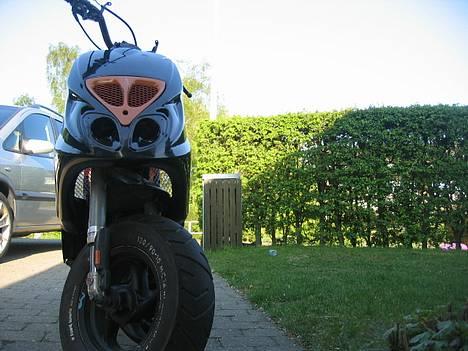 Piaggio Typhoon Nrg - NTT SOLGT billede 1