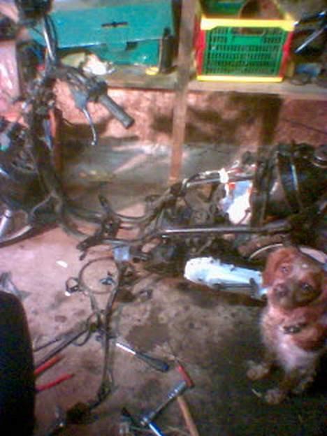 Kreidler easy rider (projekt) billede 5