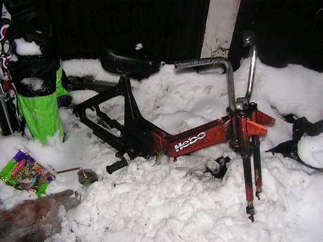 Puch "maxi" team kirkeby billede 2