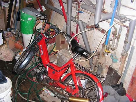 Puch "maxi" team kirkeby billede 11