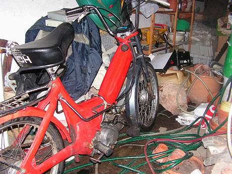 Puch "maxi" team kirkeby billede 13