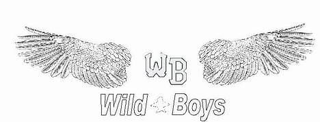 Suzuki street magic solgt billede 2