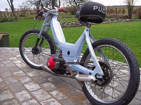 Puch Maxi Perlemor  billede 3