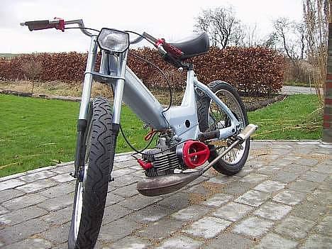 Puch Maxi Perlemor  billede 8