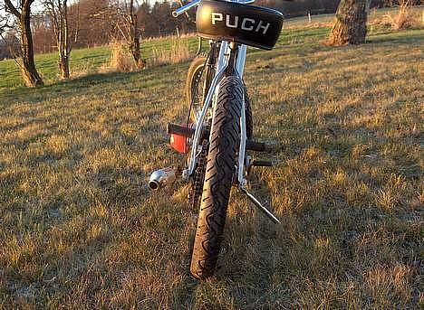 Puch Maxi Perlemor  billede 12