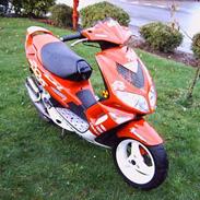 Peugeot 206 WRC (SOLGT)