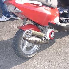 PGO Dr. Big | SOLGT!