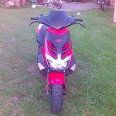Aprilia Dietch ( SOLGT )