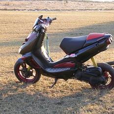 Aprilia Ditech LC DD