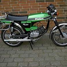 Puch GP N-SSL Flagskib PROJEKT