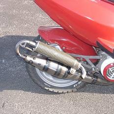 PGO Dr. Big | SOLGT!