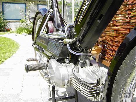 Puch Maxi K - Forfra.... sku også flot for den vinkel !!  billede 9