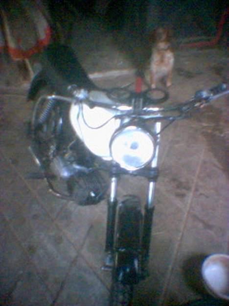 Kreidler RMC florett (solgt) billede 5