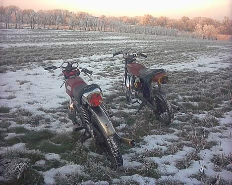 Puch monza billede 12